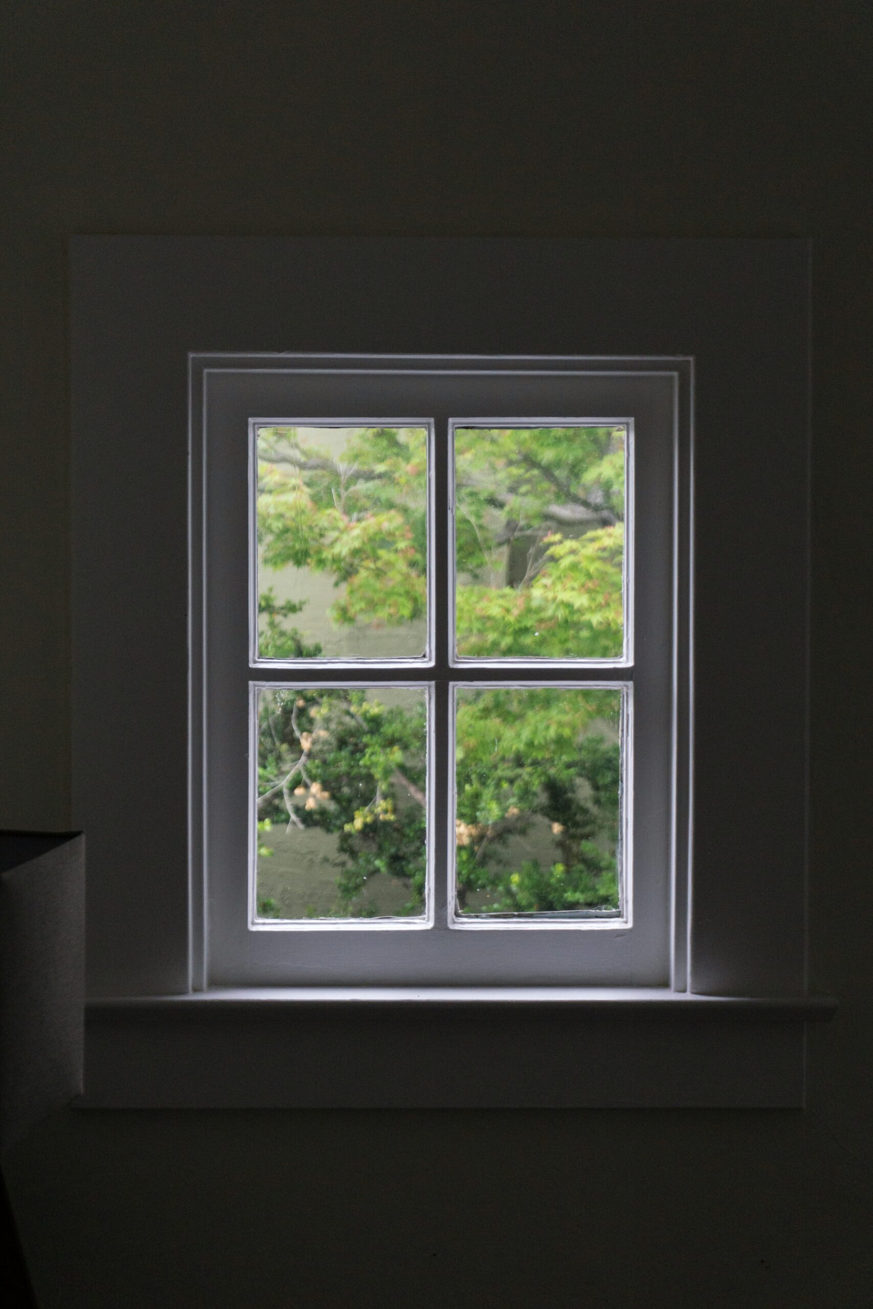 neue Fenster